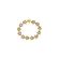 PULSEIRA-MAX-OURO-VINTAGE-ESTELAR--HECTOR-ALBERTAZZI-2