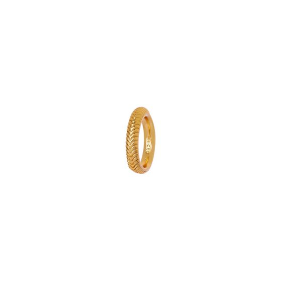 ANEL-ALIANCA-CORRENTE-ALB-001